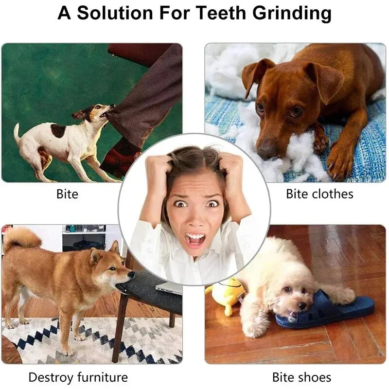 Dog Chew Toy Ball — Treat Feeder & Teeth Cleaner