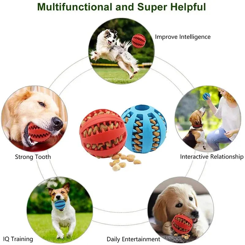 Dog Chew Toy Ball — Treat Feeder & Teeth Cleaner