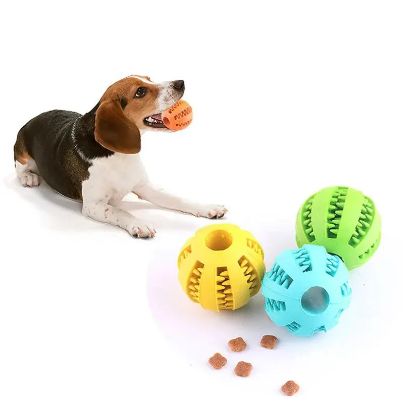 Dog Chew Toy Ball — Treat Feeder & Teeth Cleaner
