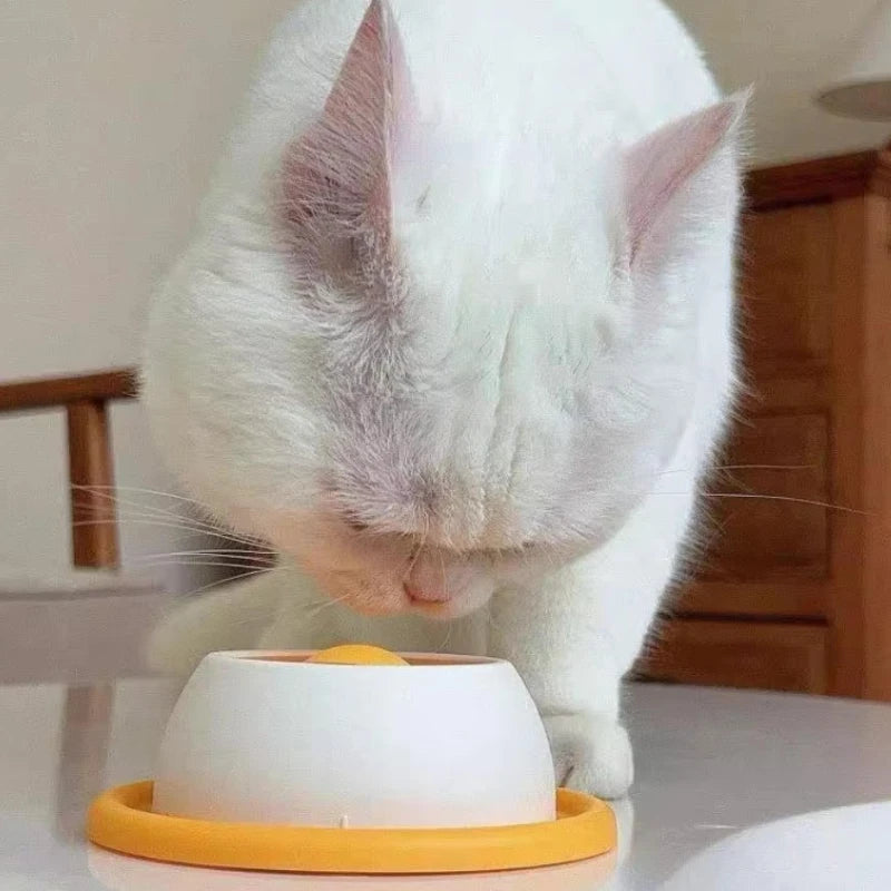 Slow Feeder Pet Bowl — Cat & Dog Food & Water Bowl